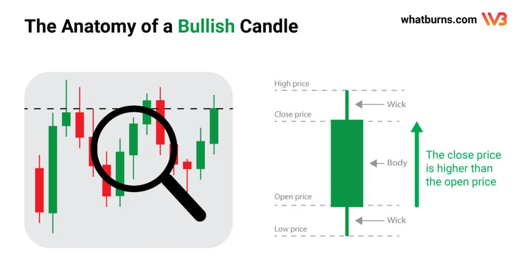 anatomy of a bullish candle